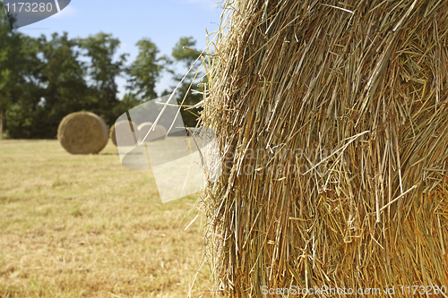 Image of hay bale