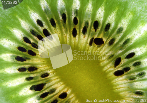 Image of fine image close up of kiwi background detail