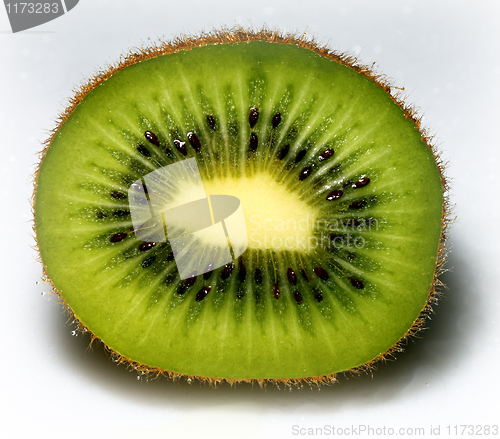 Image of fine image close up of kiwi background