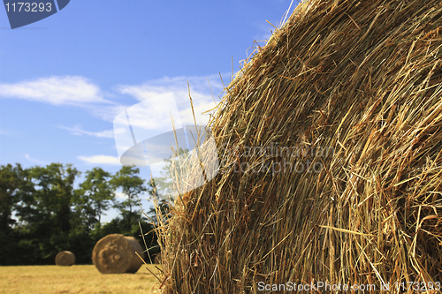 Image of bale and blue sky