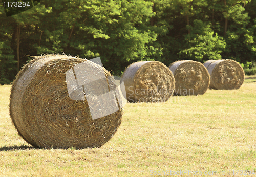 Image of fine bales background