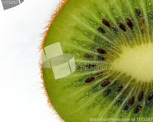 Image of fine image close up of kiwi background