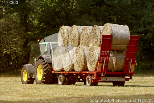 Image of work in the field