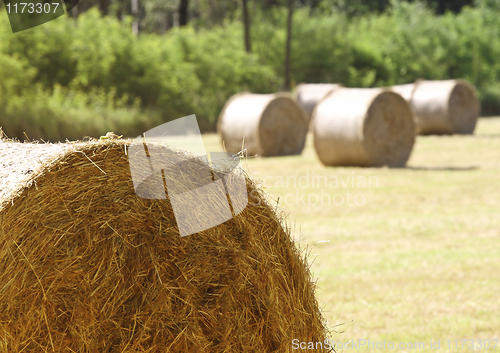 Image of closeup of hay bale