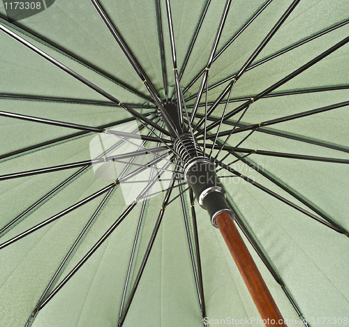 Image of umbrella