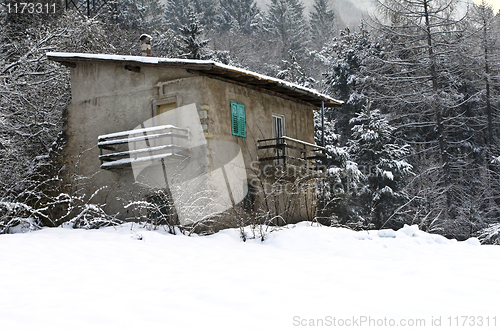 Image of little house in the forest