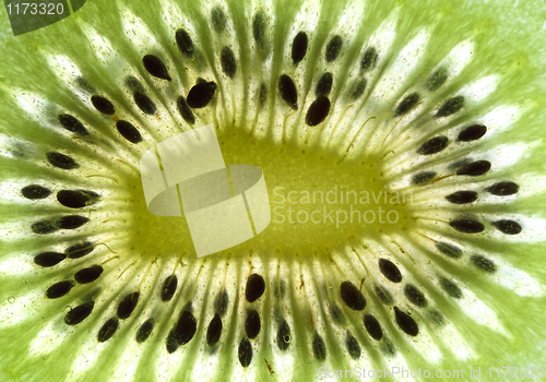 Image of fine image close up of kiwi background detail