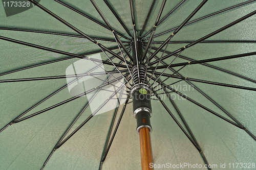 Image of umbrella detail