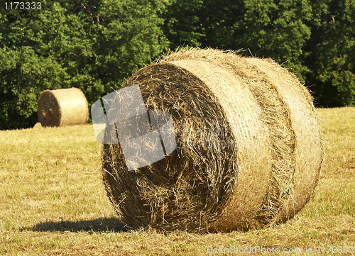 Image of rural scene of bales