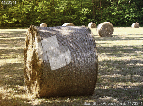 Image of fine bale hay background