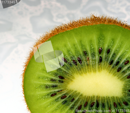 Image of fine image close up of kiwi background