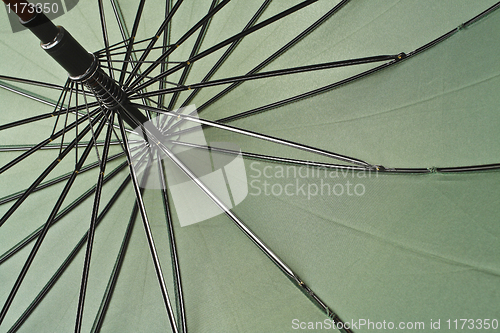 Image of classic umbrella close up