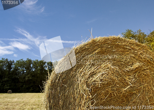 Image of hay bale and sky