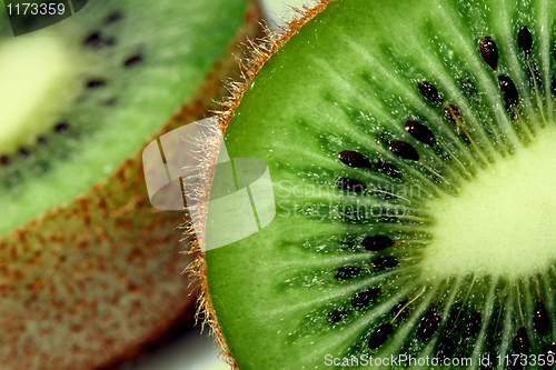 Image of kiwi background