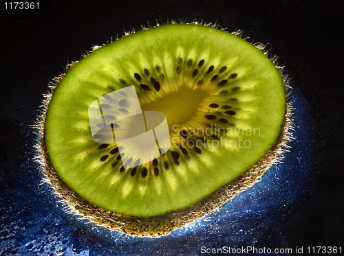 Image of fine image close up of kiwi background 02