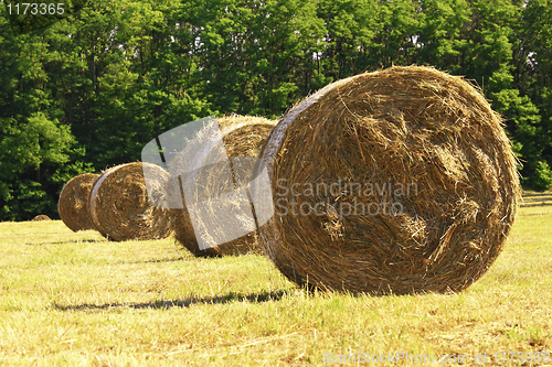 Image of bale hay background