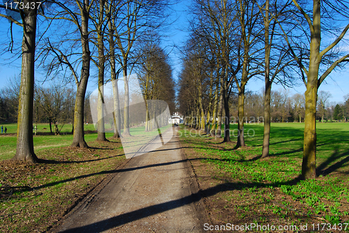 Image of way in the park