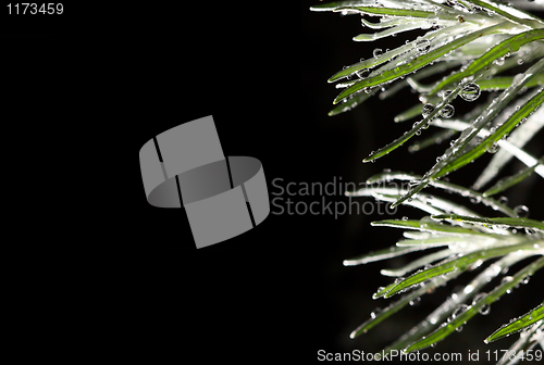 Image of nature background
