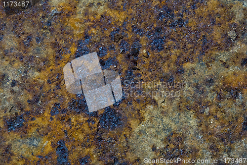 Image of grunge rusty metal plate 