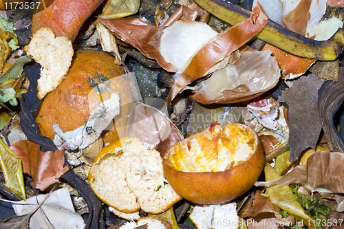 Image of vegetable waste