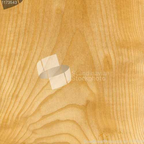 Image of wood texture