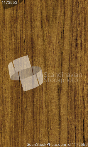Image of teak wood