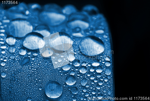 Image of blue leaf with drop