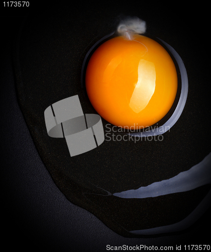 Image of egg background