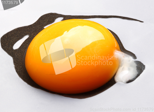 Image of raw egg