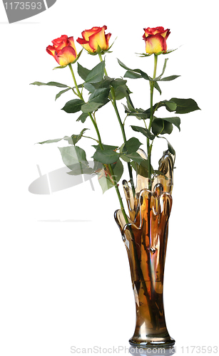 Image of Red roses in vase, isolated