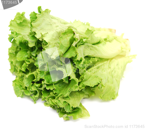 Image of lettuce