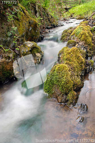 Image of Forest waterfall