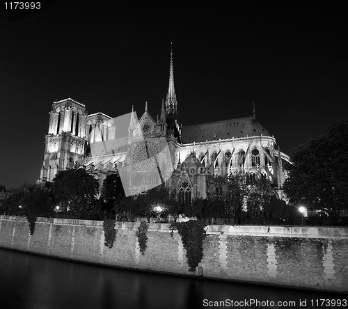 Image of Notre dame