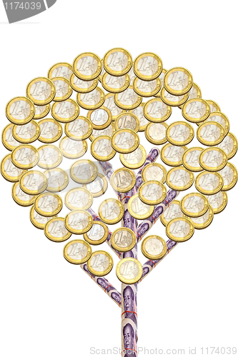 Image of Money tree