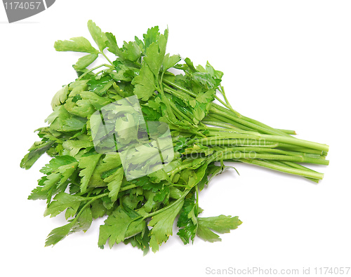 Image of parsley