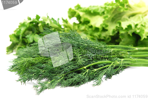 Image of lettuce and dill