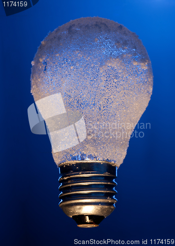 Image of Frozen light bulb