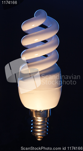 Image of Energy efficient light bulb