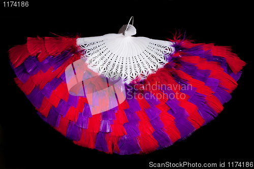 Image of feather fan accessory