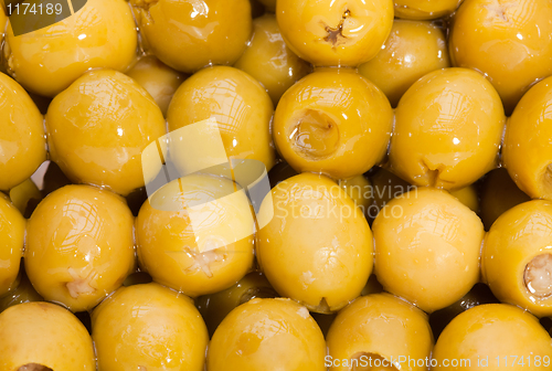 Image of Olive pattern