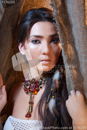 Image of American Indian beauty