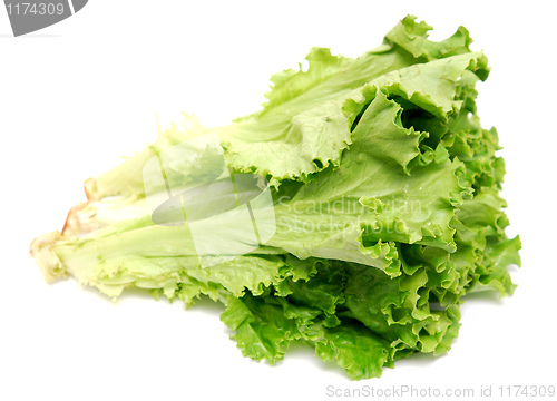Image of lettuce