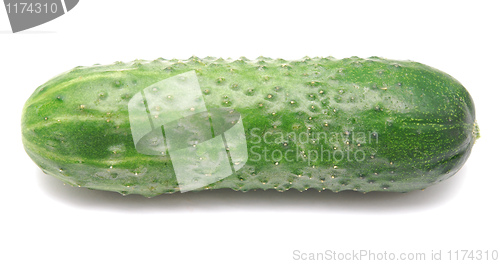 Image of cucumber 