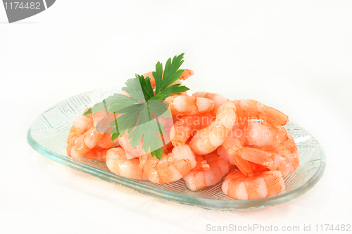 Image of Shrimp