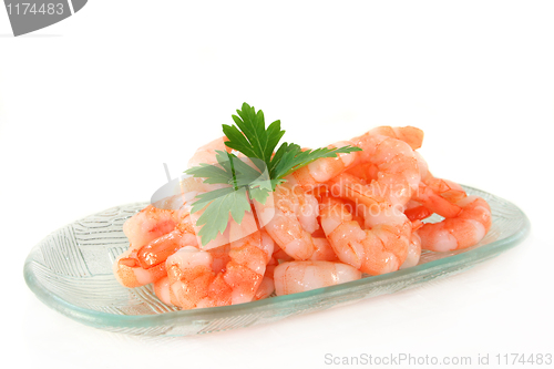 Image of Shrimp