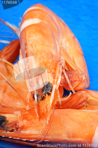 Image of Boiled shrimps macro