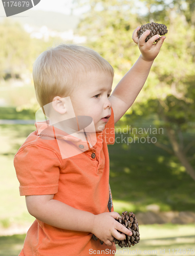 Image of Cute Young Baby Boy with Pine Cones in the Park