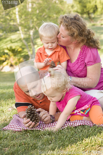 Image of Young Family Talking about Pine Cones in Park