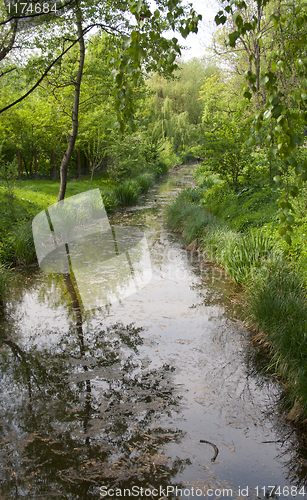 Image of reflection in the water.