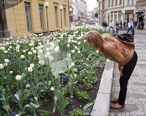 Image of beautiful girl and flowers, looking at the flowers,